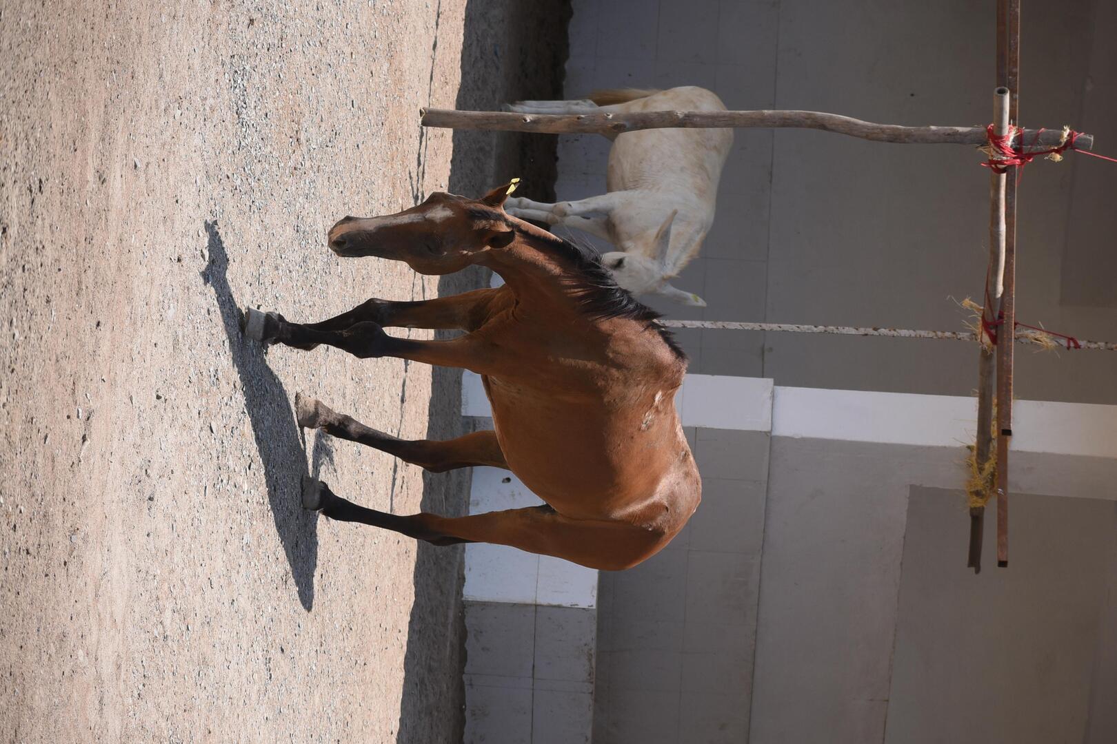 Category 2 Image 1