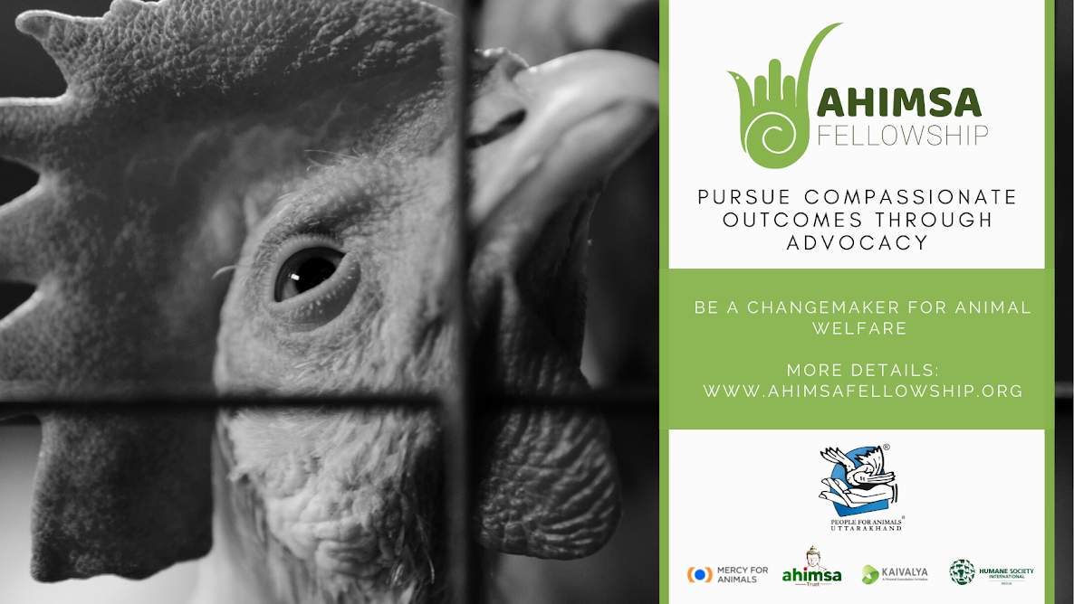 Ahimsa Fellowship